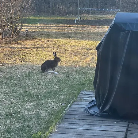 Cozy With Private Sauna In Lapland Apartman Rovaniemi