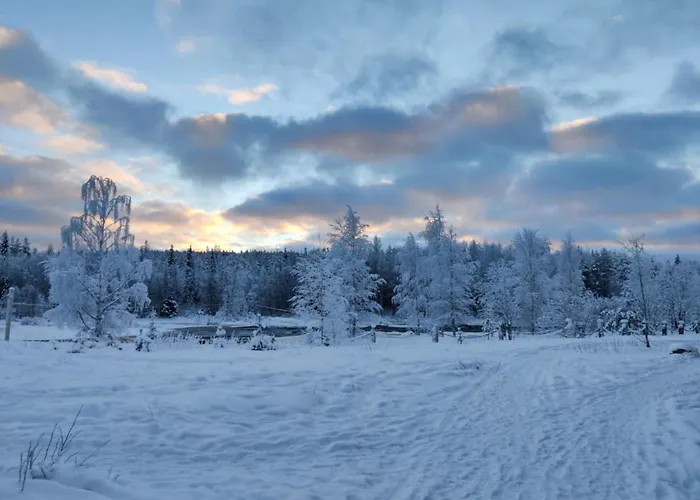 公寓 Cozy With Private Sauna In Lapland *