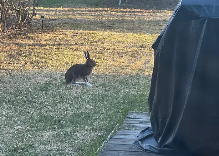 Cozy With Private Sauna In Lapland アパート ロヴァニエミ